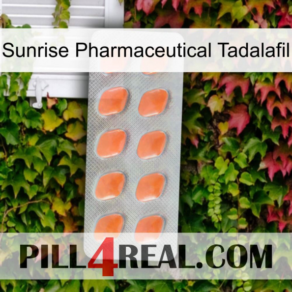 Sunrise Pharmaceutical Tadalafil 26.jpg